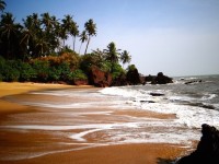 Kannur, une semaine au paradis entre plages et cocotiers !